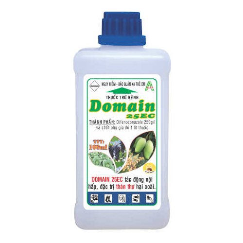DOMAIN 25EC