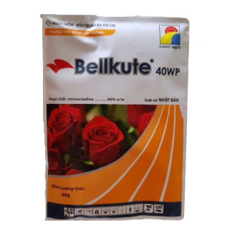 Bellkute 40WP - Thuốc Đặc Trị Bệnh Phấn Trắng Trên Hoa Hồng