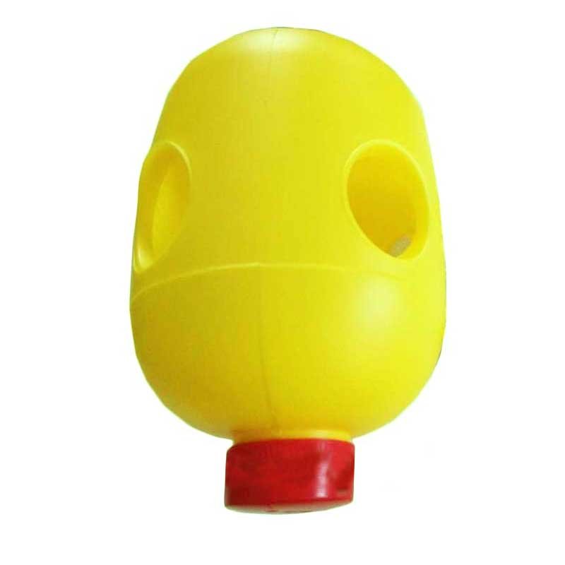 Bẫy diệt ruồi đục trái
