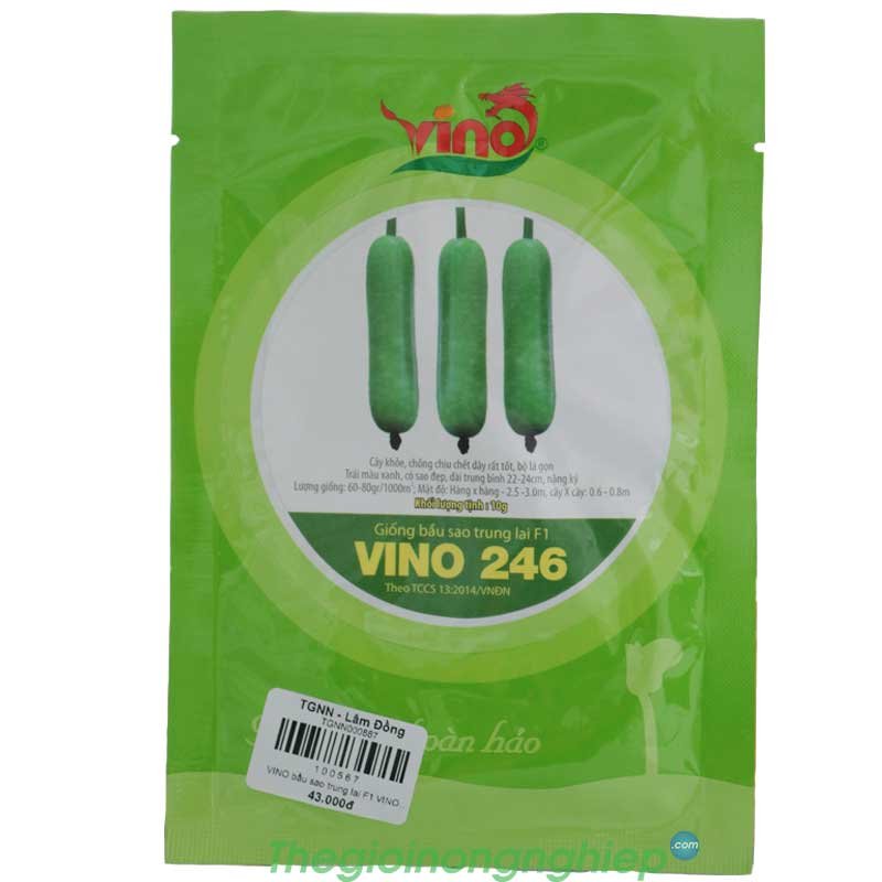 Hạt Giống Bầu Sao Lai F1 Vino 246