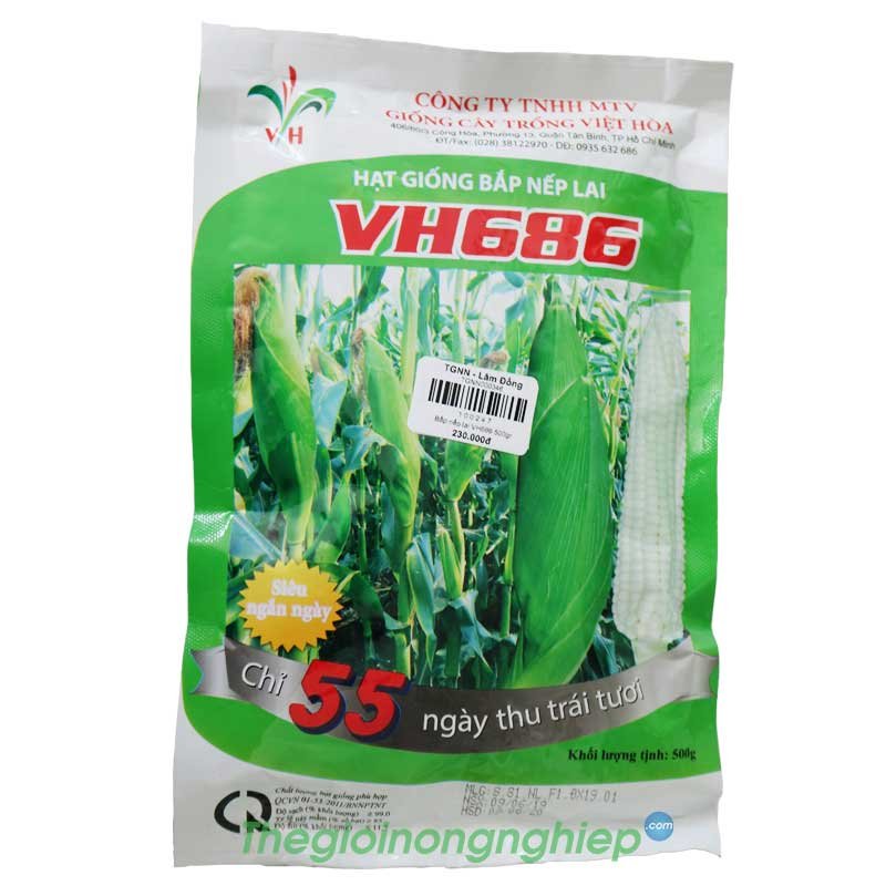 Hạt Giống Bắp Nếp Lai VH686