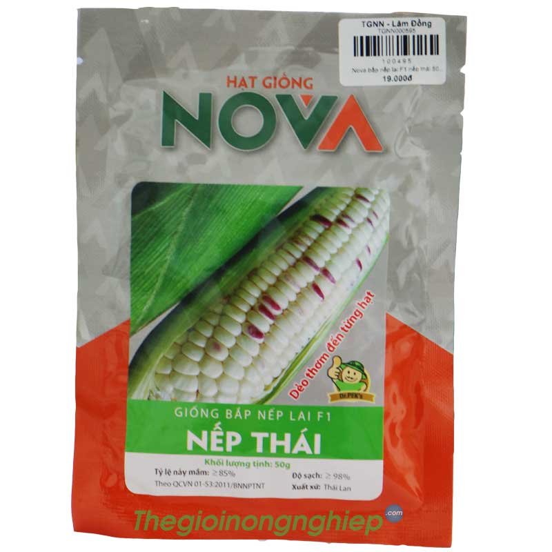 Hạt Giống Bắp nếp lai F1 Nếp Thái