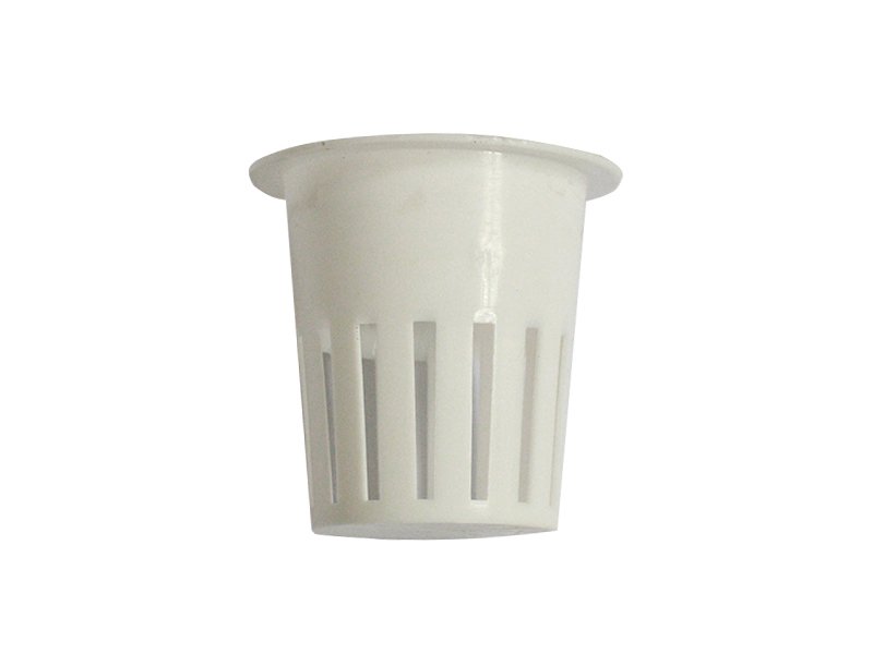 Ly Trồng Thủy Canh Thái Lan