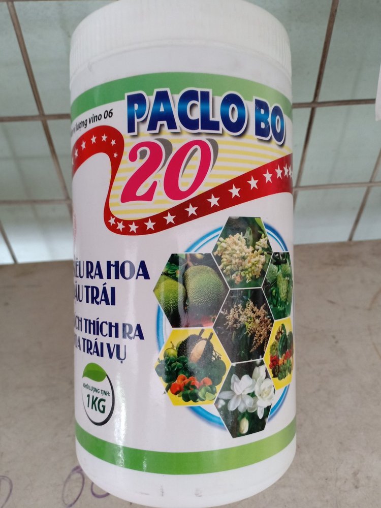 PACLO BO 20