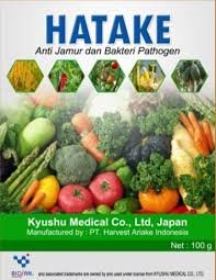 Hatake