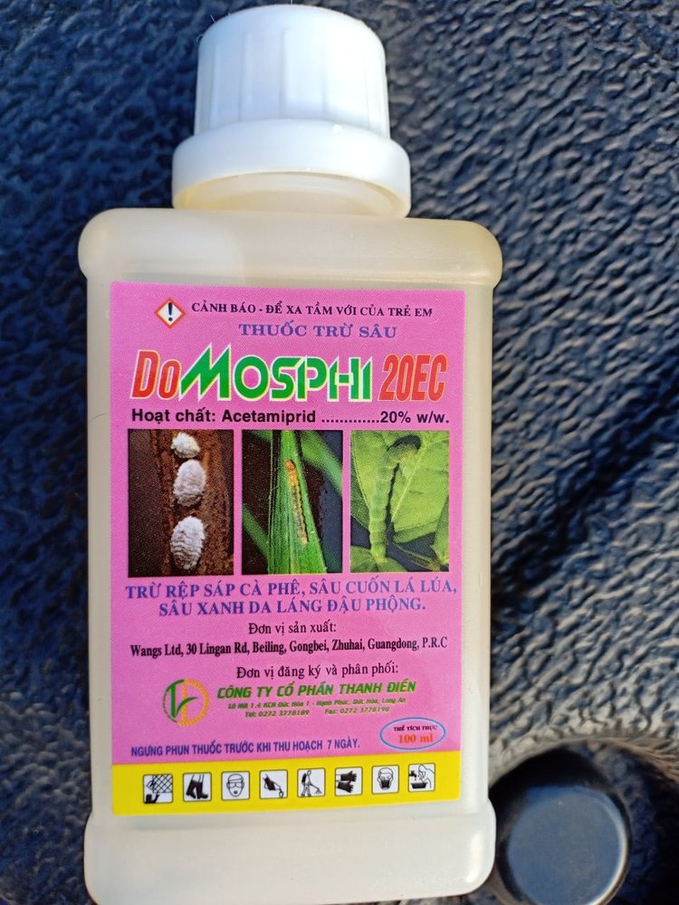 DOMOSPHI 20EC - Đặc Trị Rệp Sáp Hại Cà Phê