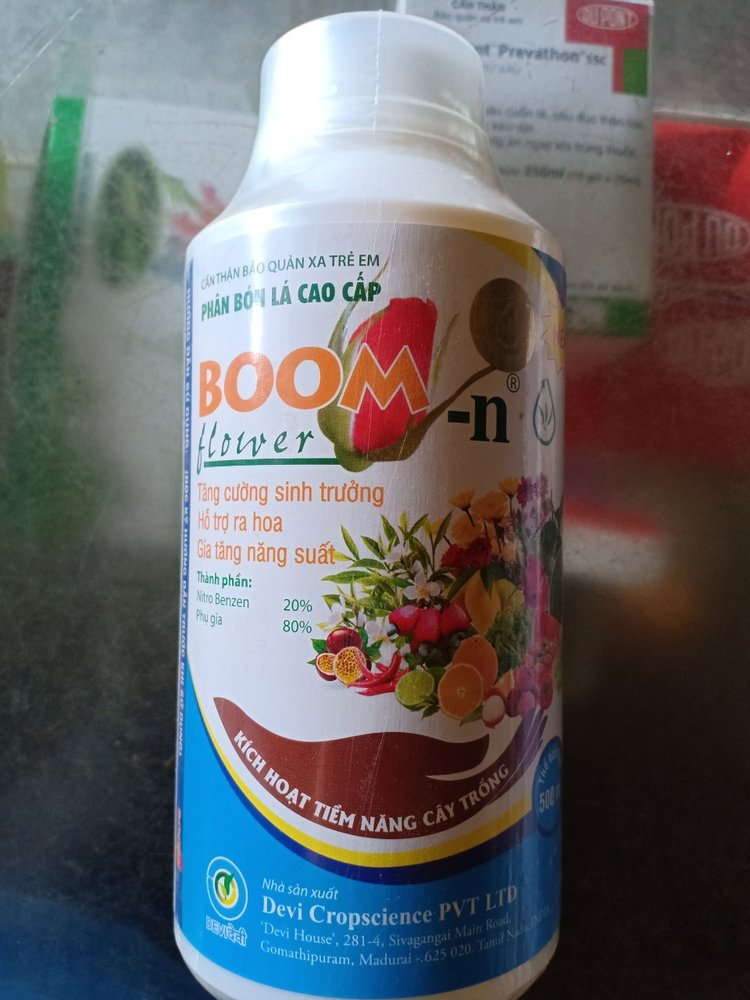 BOOM-N