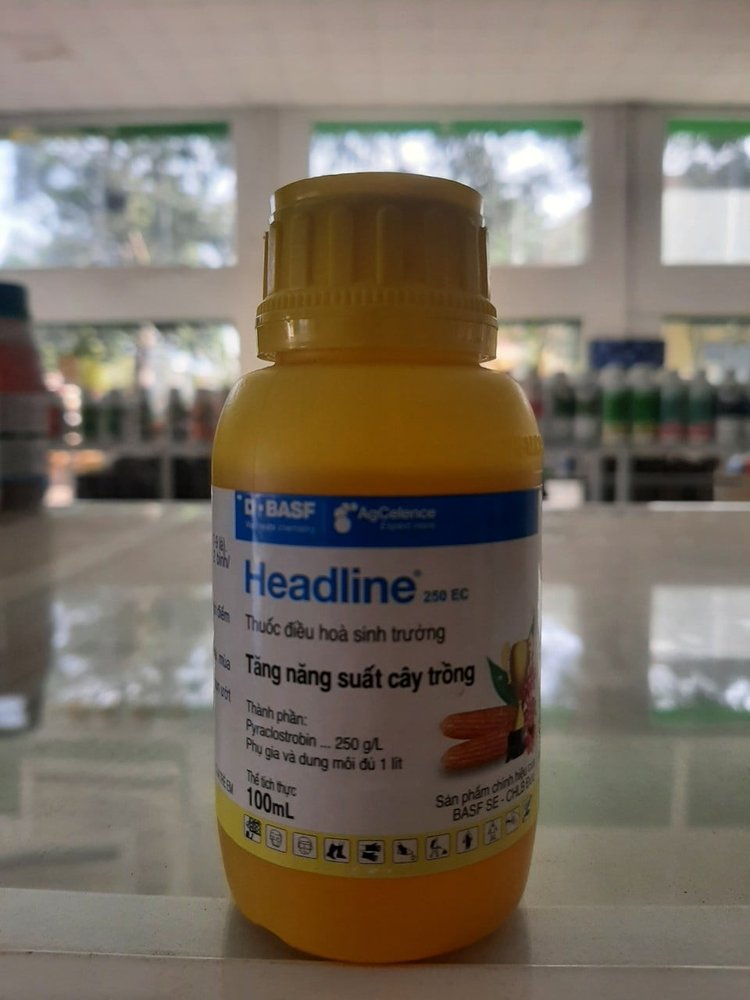Thuốc điều hòa sinh trưởng Headline 250EC - Tăng năng suất cây trồng