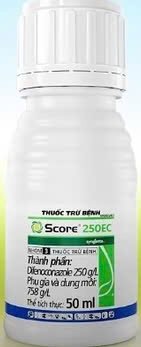 Score 250EC - Thuốc Trừ Bệnh Nội Hấp -  Difenoconazole - Syngenta