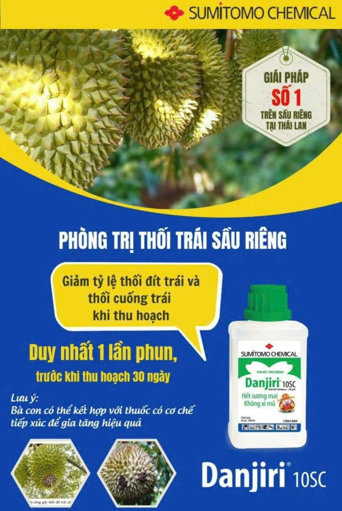 Danjiri 10SC (chai 100ml) | Giải pháp tuyệt vời xử lý Phytophthtora (xì mủ/sương mai/mốc sương).