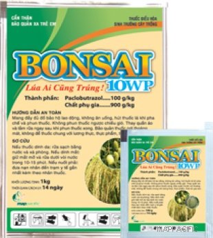 BONSAI 10WP