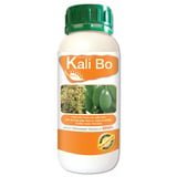 KALI BO TỔNG HỢP