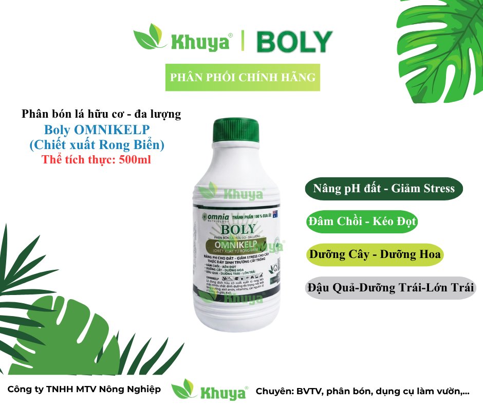 Boly Omnikelp 500ml