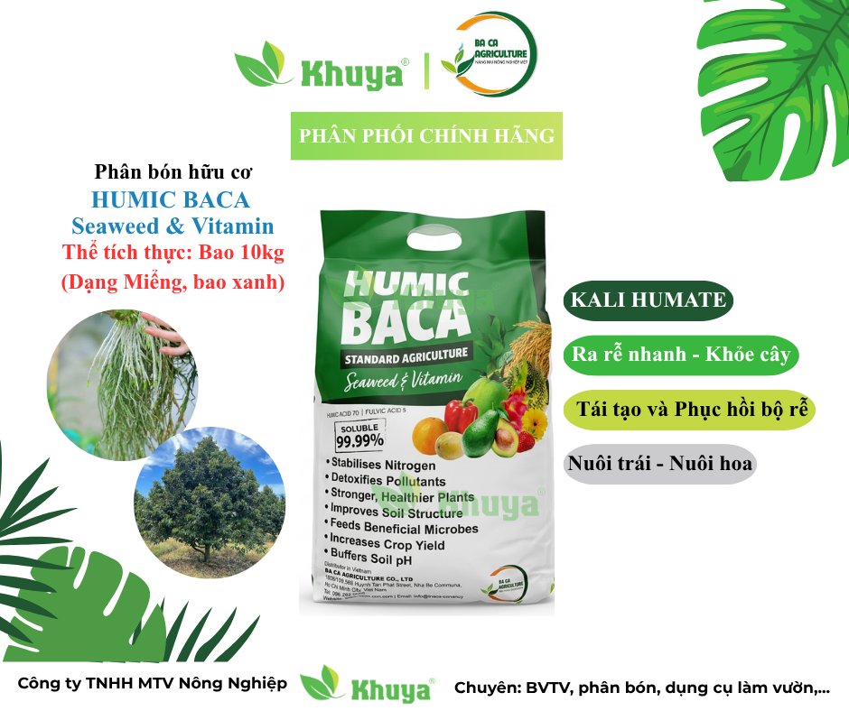 Baca Humic dạng miểng bao 10kg