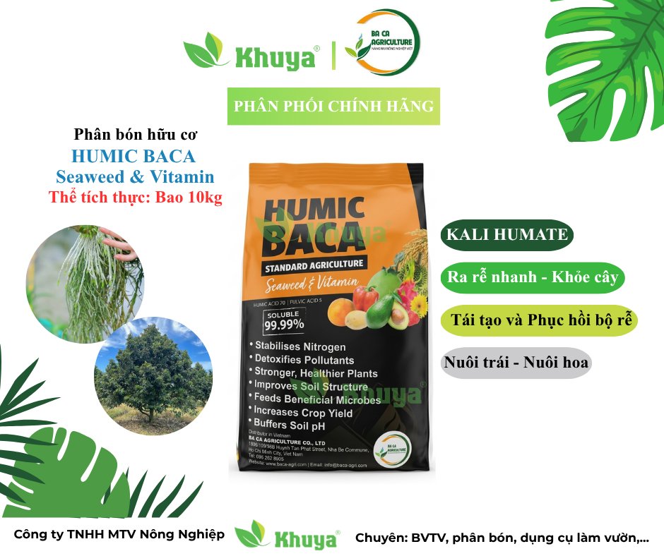 Baca Humic dạng vảy bao 10kg (Cam)