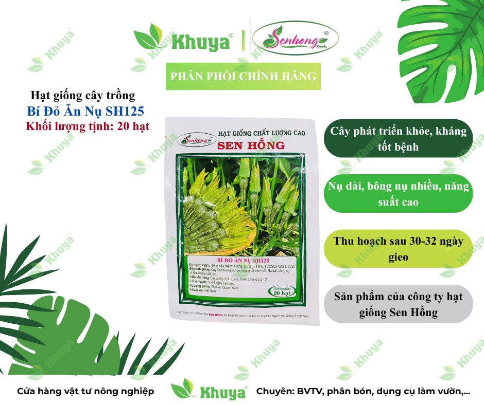 Bí ăn nụ SH125 ( 20 hạt )