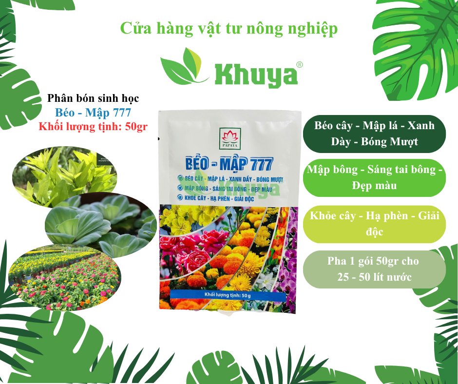 Papaya Béo mập 777 50gr