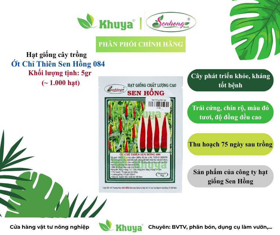Ớt Sen Hồng 084 5gr