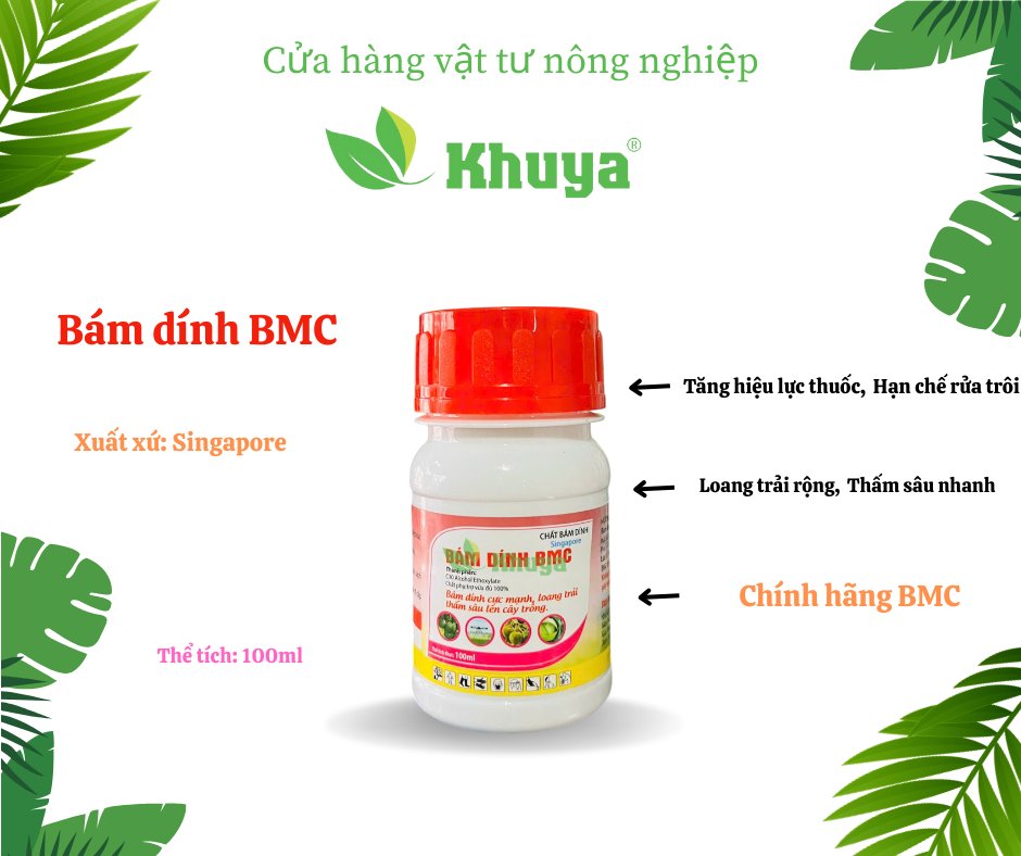Bám dính nhanh BMC