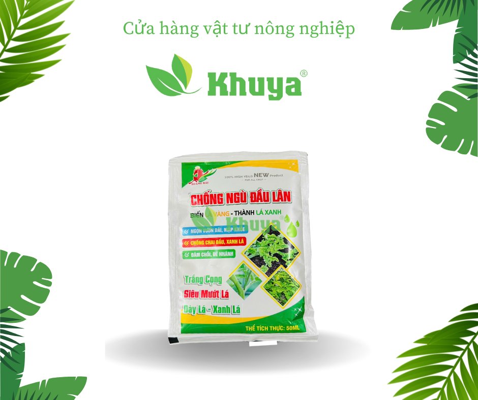 Hải Chống Ngù Đầu Lân 50ml