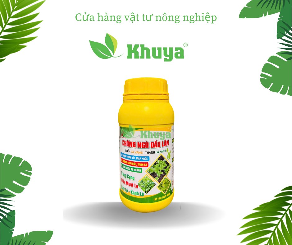Hải Chống Ngù Đầu Lân 500ml