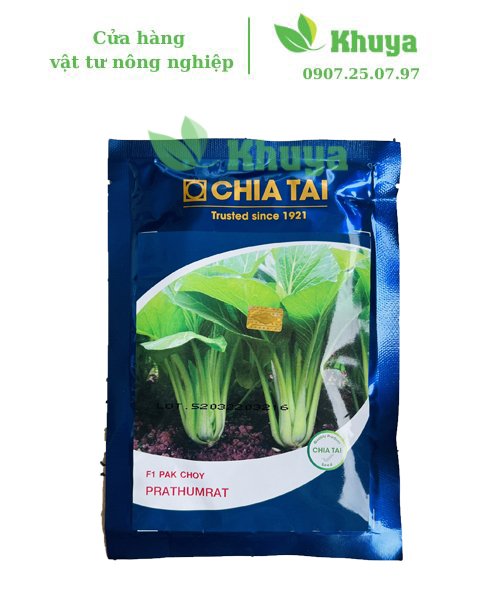 Cải ngọt chia tai Choy 100gr