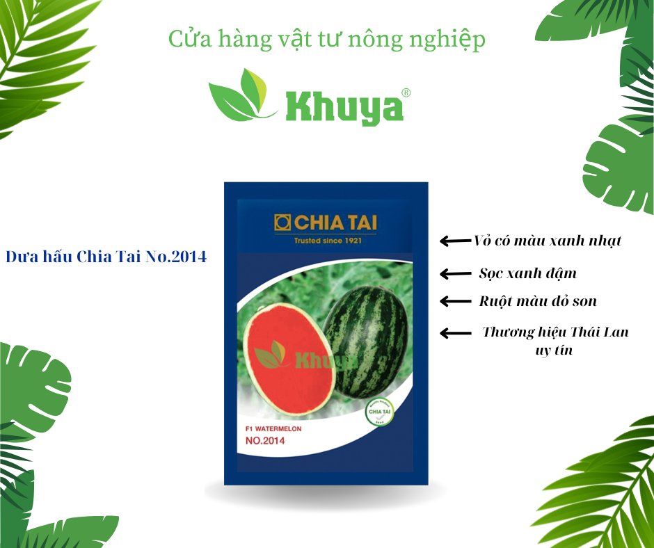 Dưa hấu Chia Tai 2014