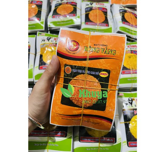 Thọ Rồng Vàng Bindy