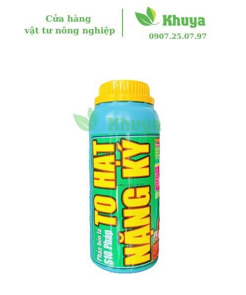 DienKhanh To hạt - nặng ký 1l