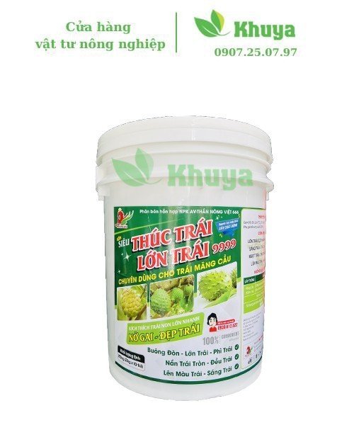 Hải xô Thúc trái - Lớn trái 9999 20kg