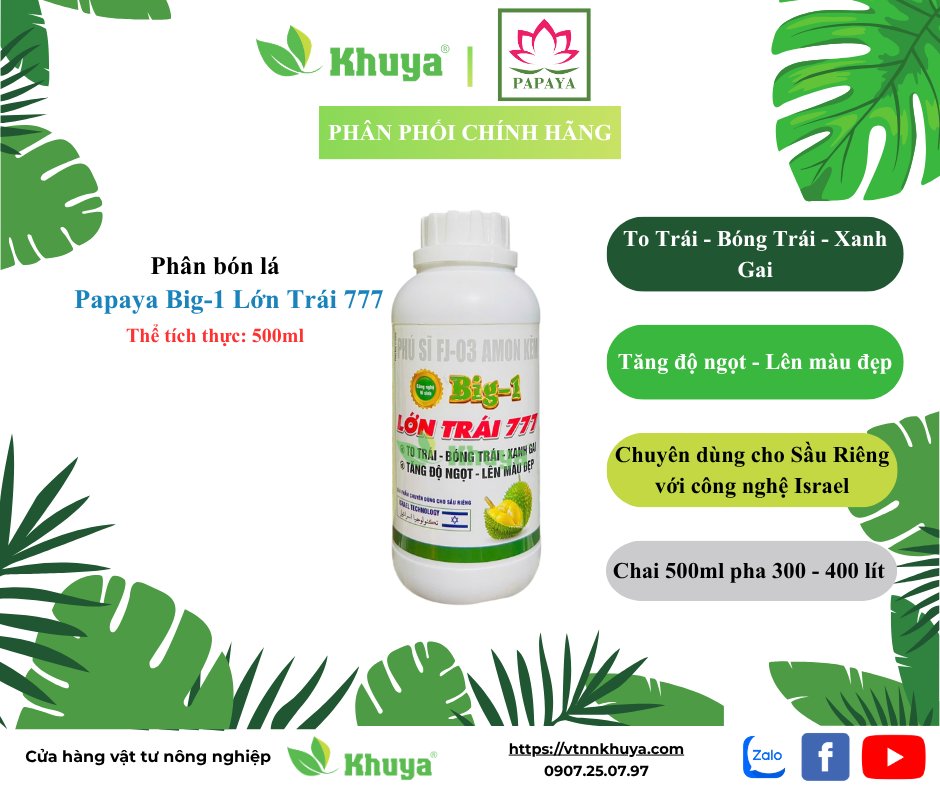 Papaya Big-1 Lớn trái 777 500ml