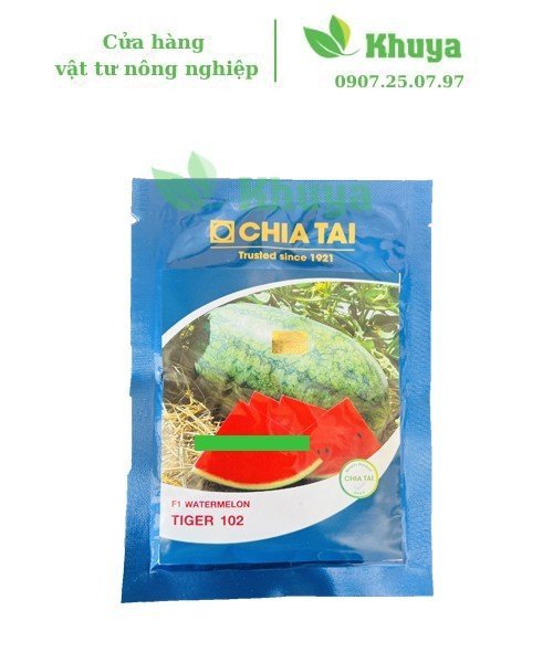 Dưa hấu Chia tai Tiger 102