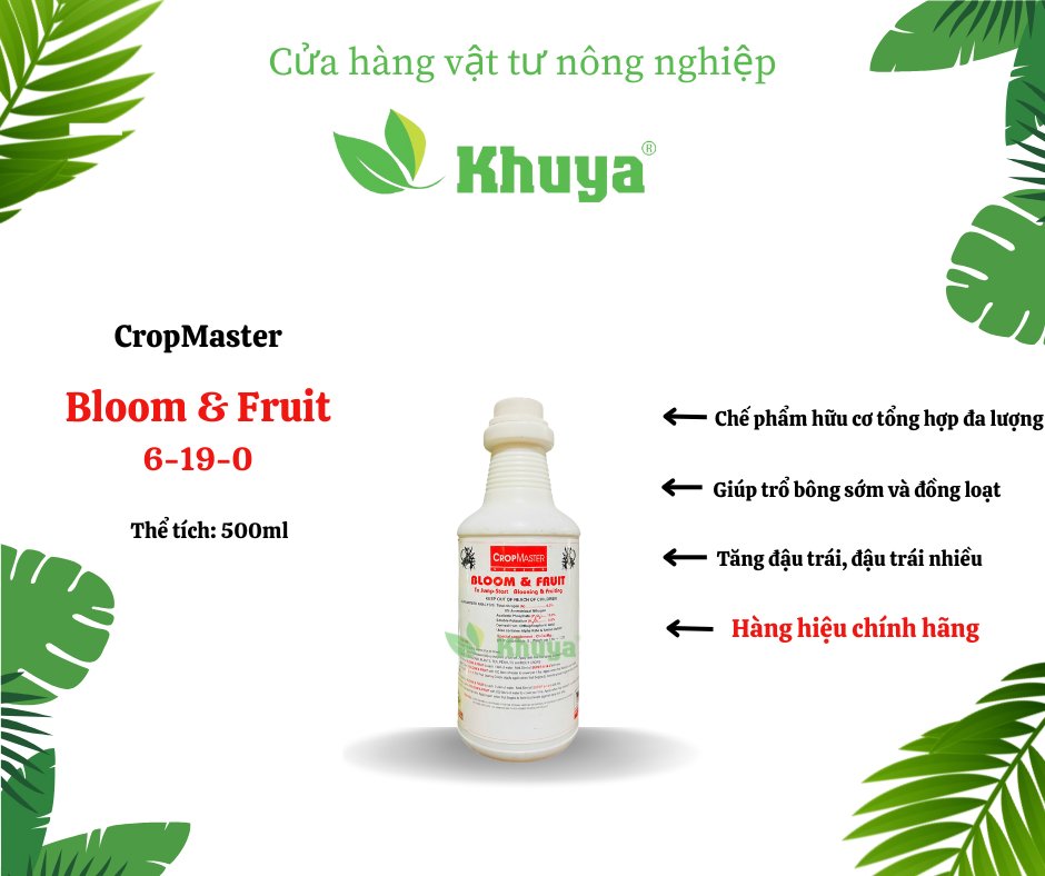 Bloom & Fruit 6-19-0 chai 500ml