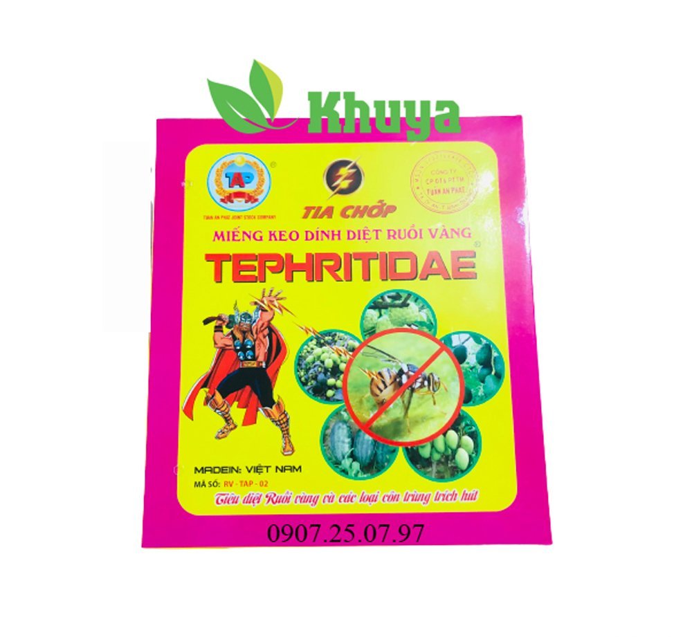 Miếng dán ruồi TEPHRITIDAE