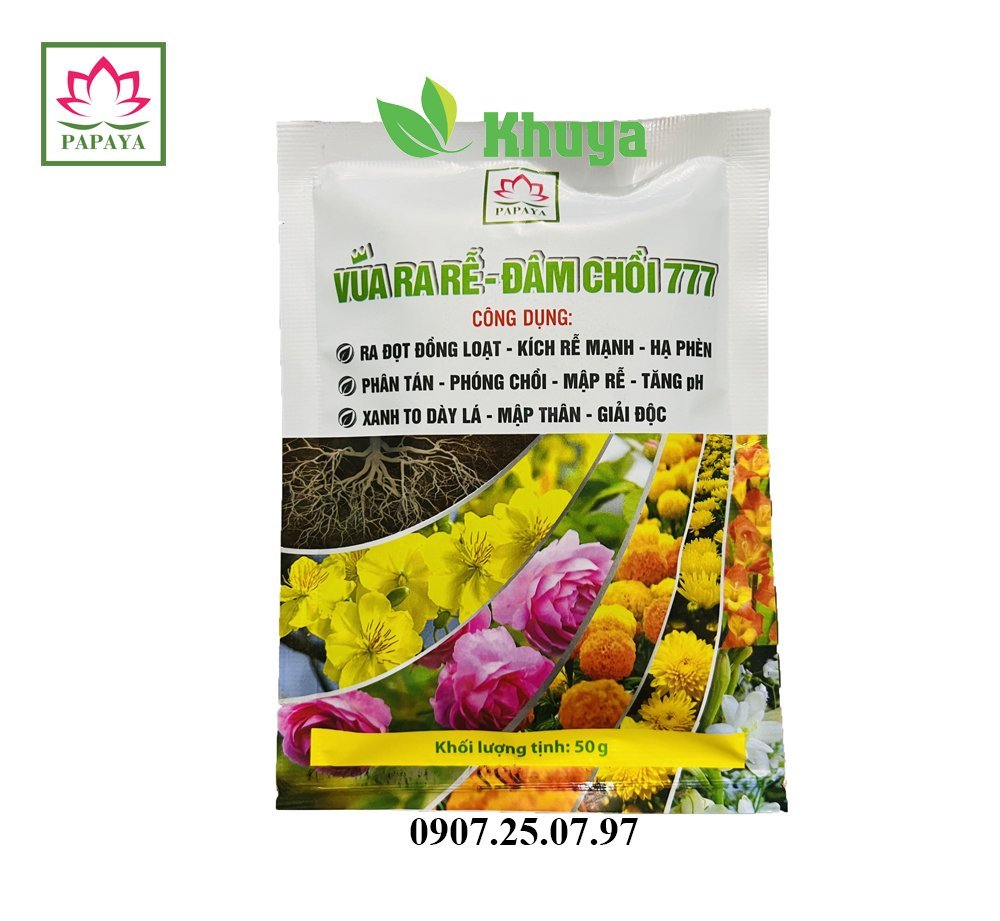Papaya Vua ra rễ-đâm chồi 777 50gr