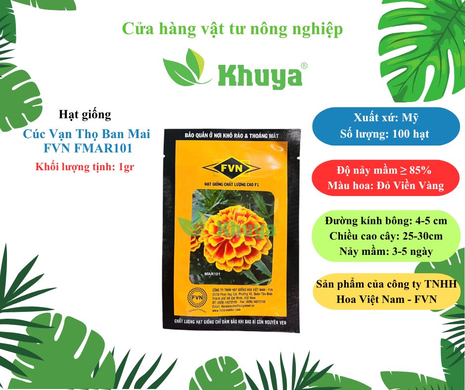 Thọ Pháp Lùn FVN FMAR101