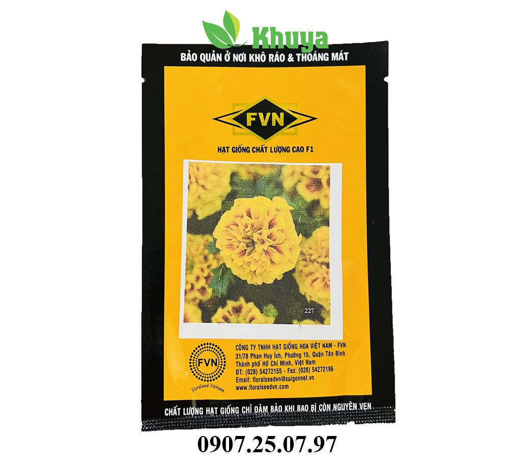 Thọ Pháp Lùn FVN MAR227