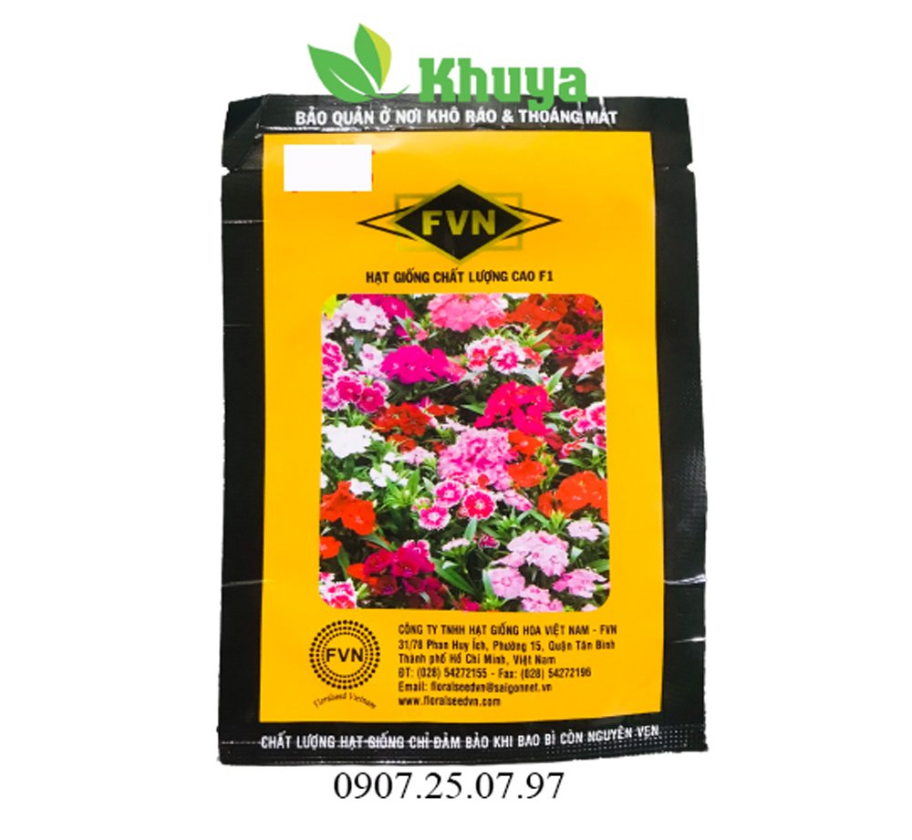 Hoa Cẩm Chướng Mỹ nhiều màu FVN FDIA001