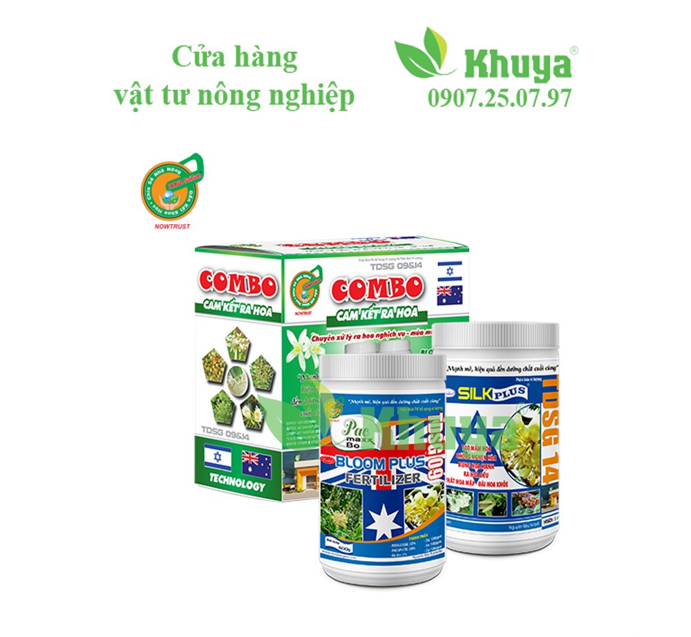 DONA ComBo Cam kết ra hoa