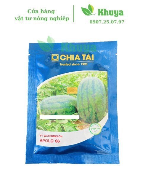 Dưa Hấu Chia Tay APOLO 66 20gr