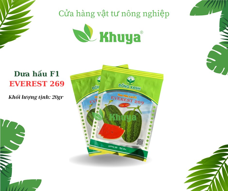 Dưa Hấu Đồng xanh 269 20gr