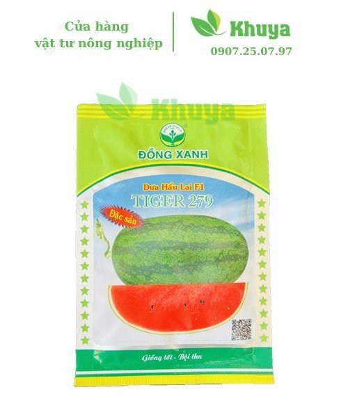 Dưa Hấu Đồng xanh 279 20gr