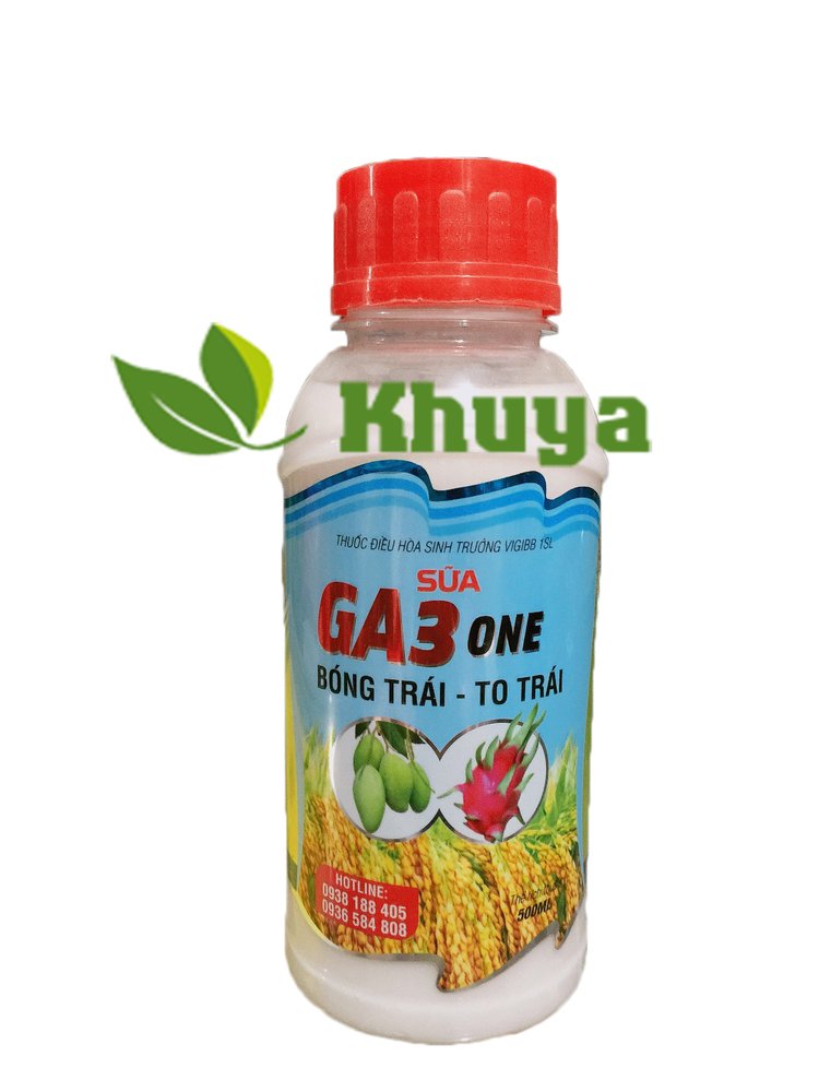 GA3 Sữa 500ml