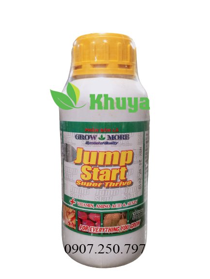 Growmore Jumpstart 500ml