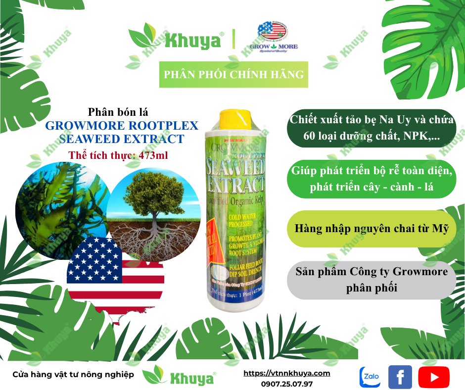 Growmore Seaweed Extract 473ml