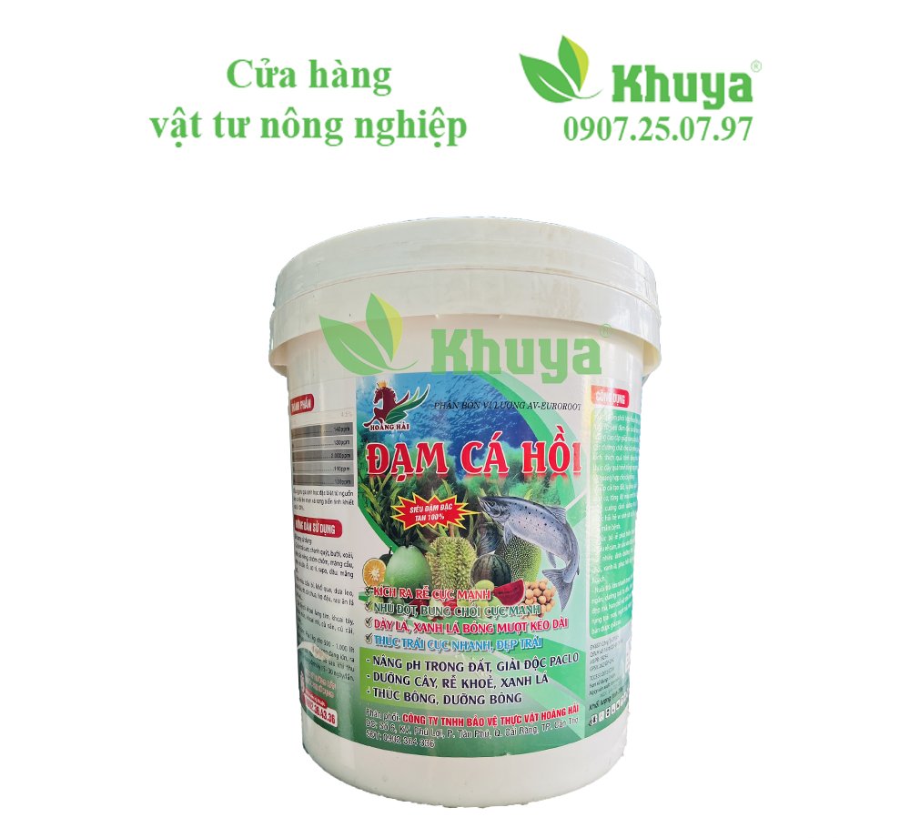 Hải Xô Đạm cá hồi 20kg