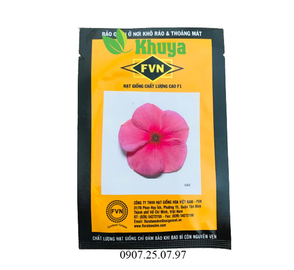 Hoa Dừa Cạn Đứng VIN048 Tím Hồng