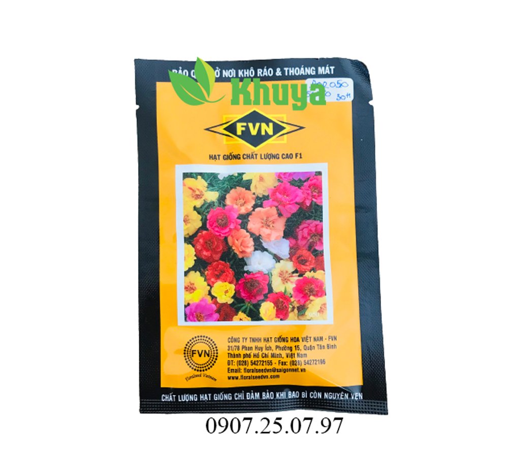 Hoa Mười Giờ Kép POR050