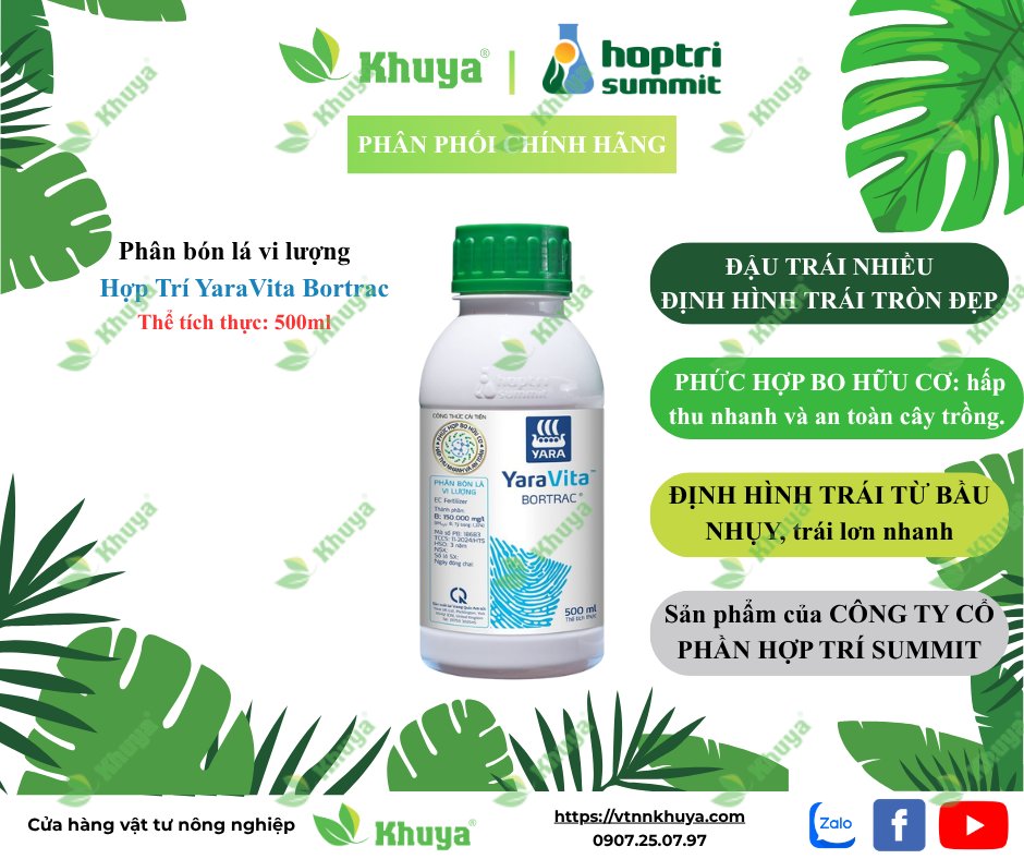 HT Bortrac 500ml