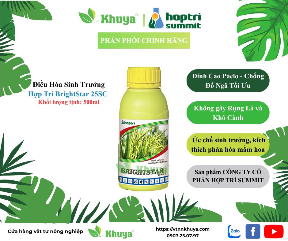 HT Brightstar 500ml